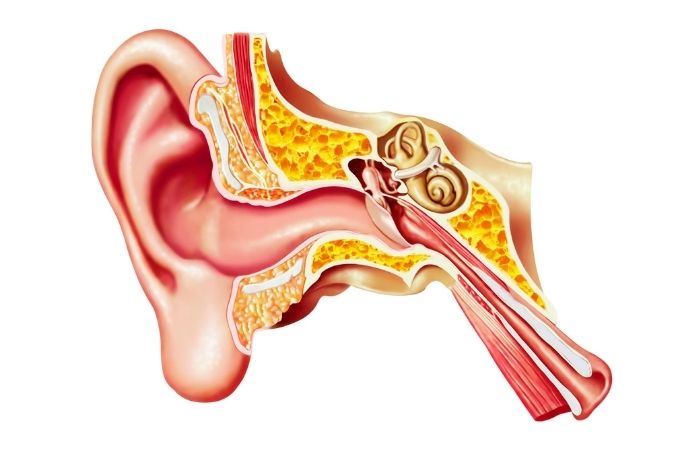 How to Prevent Ear Crystals